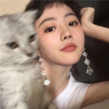 fan of guns最新版下载