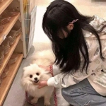 燎原传奇官方版下载